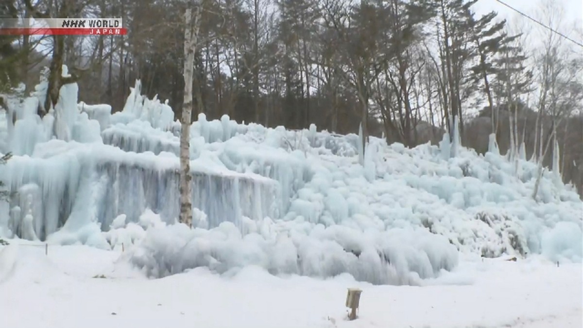 'Hutan Subzero' Dibuat di Takayama, Jepang Tengah