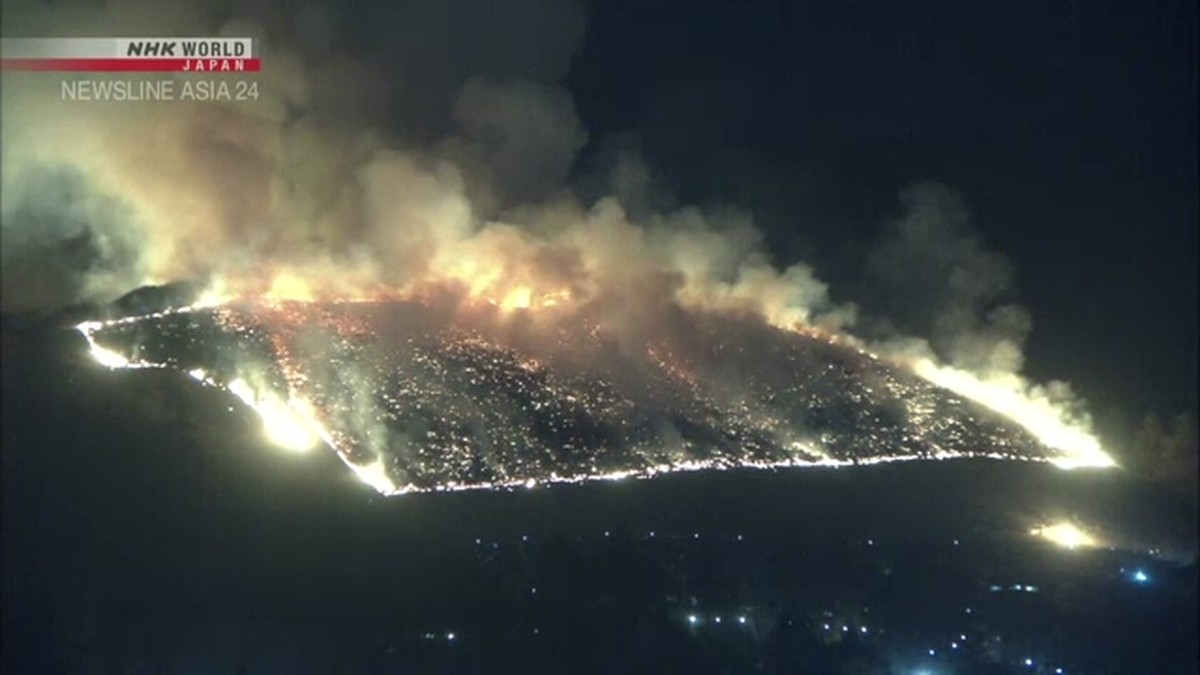 Gunung Wakakusa Membara! Tradisi Spektakuler 'Yamayaki' Pukau Ribuan Turis di Nara