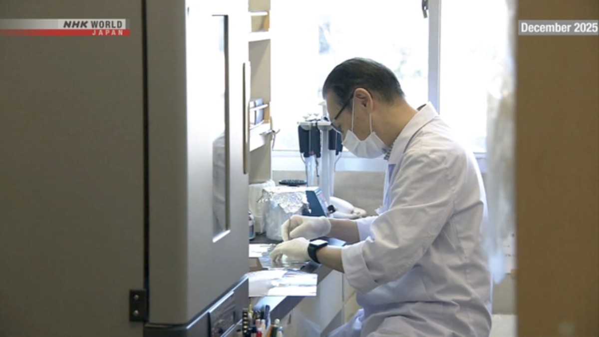 Hiroshima Konfirmasi Temuan Rambut 52 Korban Bom Atom di Dalam Guci