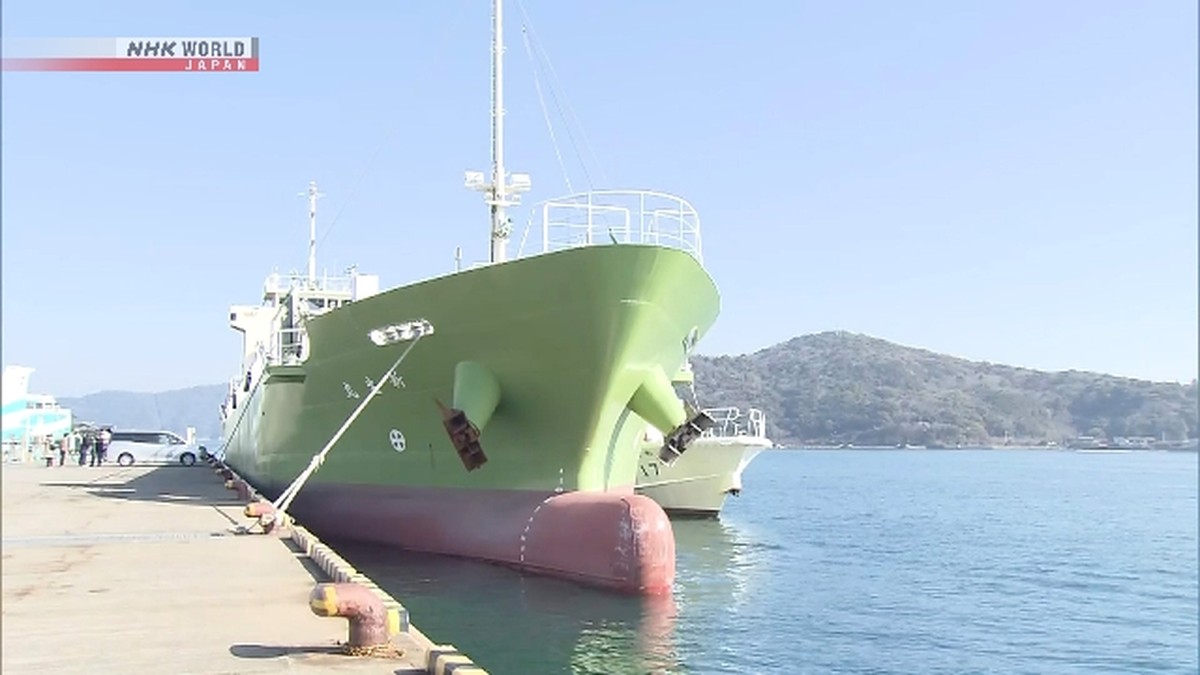 Navigator Kapal Kargo Ditangkap Usai Tabrakan Maut dengan Kapal Nelayan di Mie