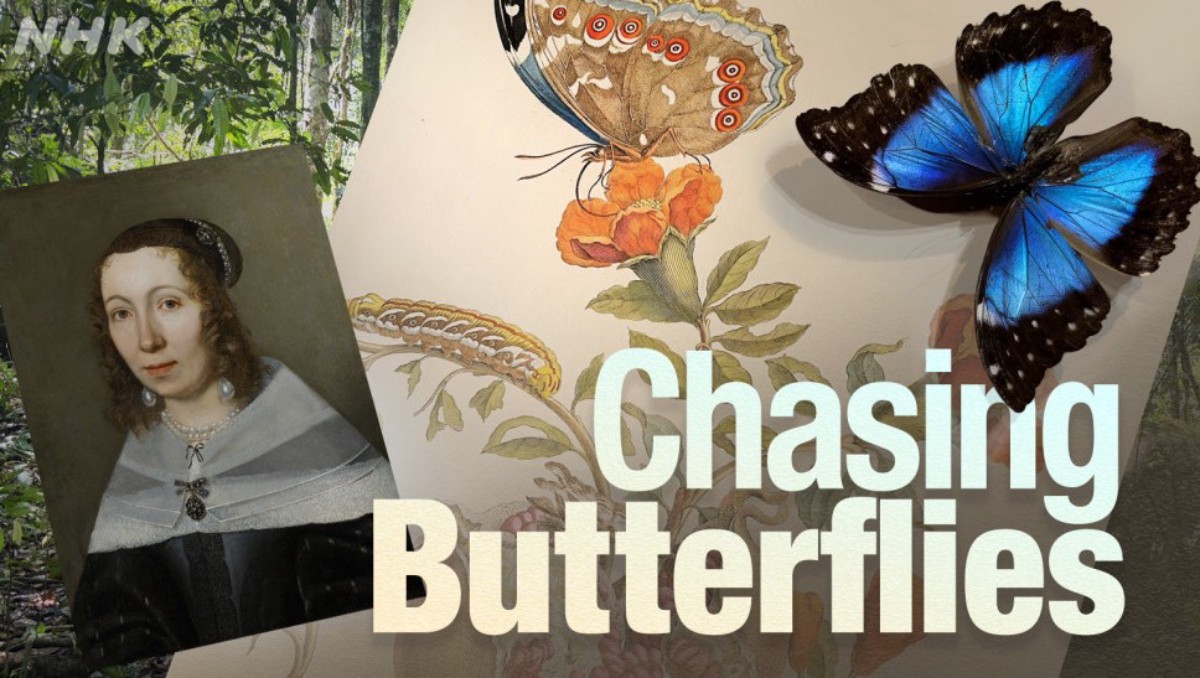 Keindahan Sains dan Seni: Pameran Kupu-kupu Maria Sibylla Merian di Tokyo