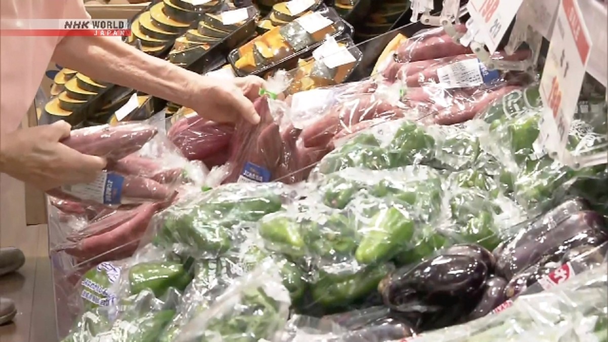 PM Jepang Takaichi Percepat Implementasi Janji Politik Pasca Menang Pemilu