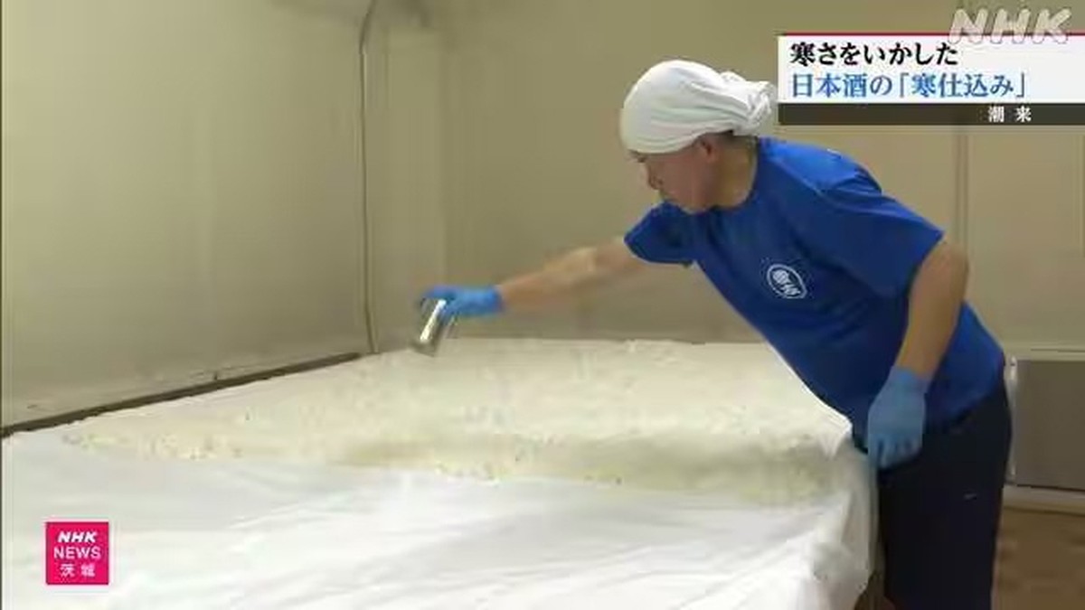 Produksi sake musim dingin penuh berlangsung di Prefektur Ibaraki