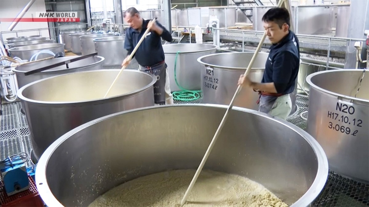 Produksi 'Kokuto Shochu' Meningkat di Kepulauan Amami Jelang Musim Semi