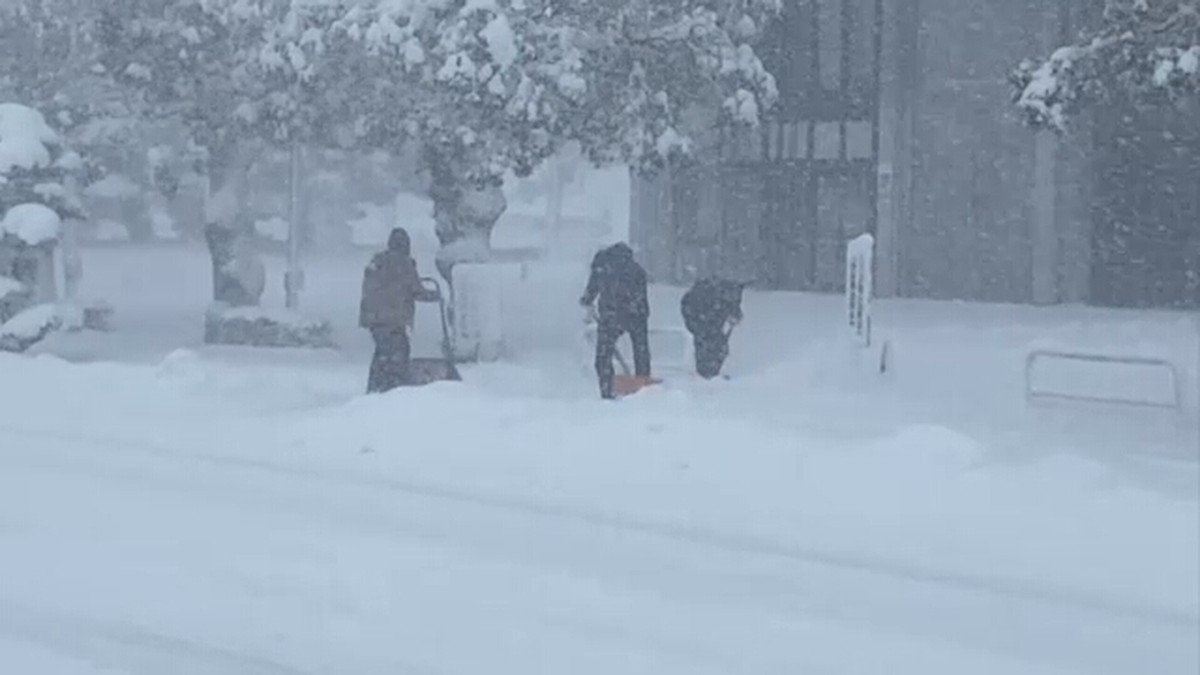 Salju Menumpuk Cepat di Jepang Barat, Tokyo Juga Terdampak!