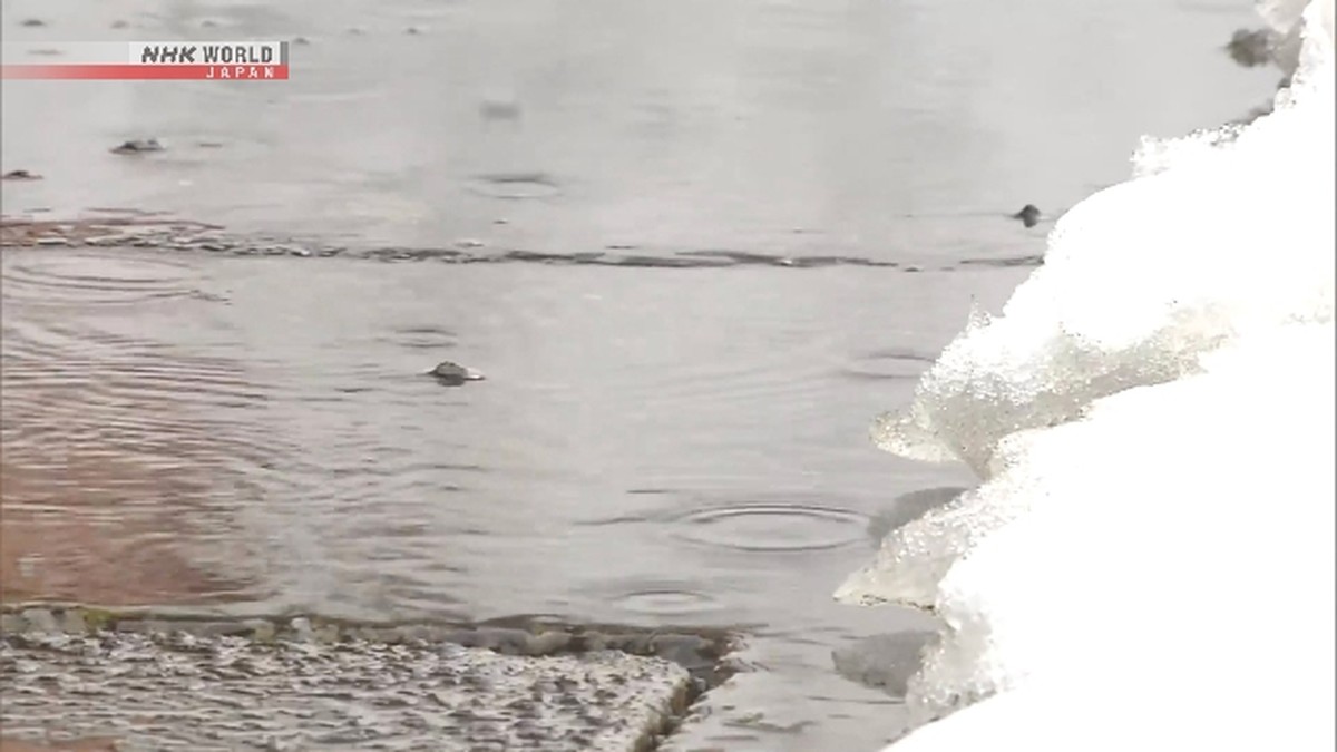 Suhu Naik Timbulkan Risiko Longsoran Salju di Wilayah Jepang Utara