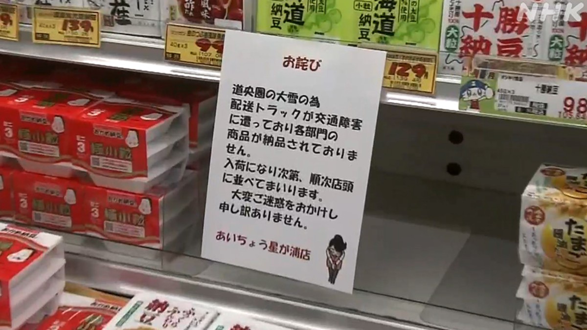Waspada! Badai Salju Kembali Terjang Jepang, Hokkaido Lumpuh Total