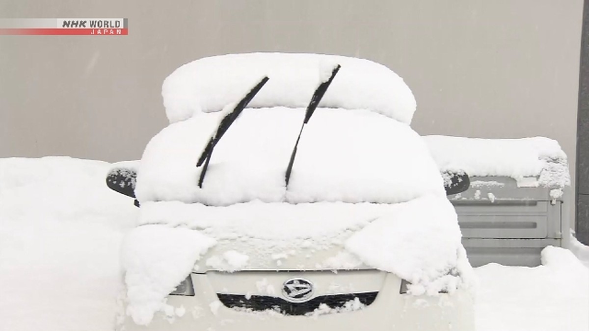 Waspada! Badai Salju Lebat Hantam Pesisir Laut Jepang, Tumpukan Capai 4 Meter